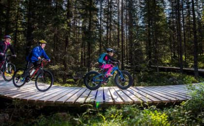 Familie op fiets vakantie in Noorwegen